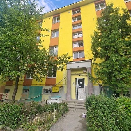 Mural Art Apartament Petroşani エクステリア 写真