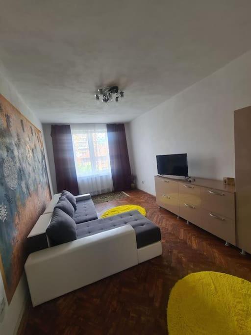 Mural Art Apartament Petroşani エクステリア 写真