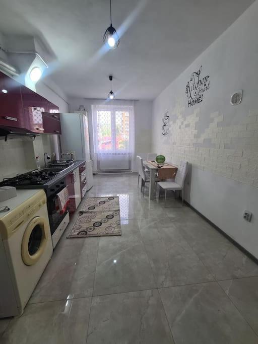 Mural Art Apartament Petroşani エクステリア 写真