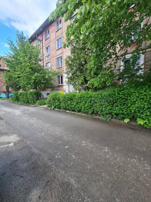 Mural Art Apartament Petroşani エクステリア 写真