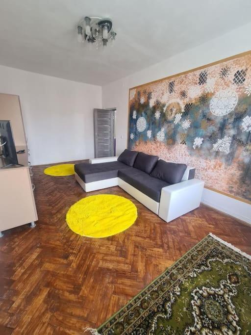 Mural Art Apartament Petroşani エクステリア 写真