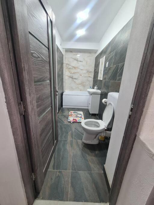 Mural Art Apartament Petroşani エクステリア 写真