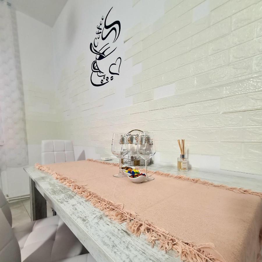 Mural Art Apartament Petroşani エクステリア 写真