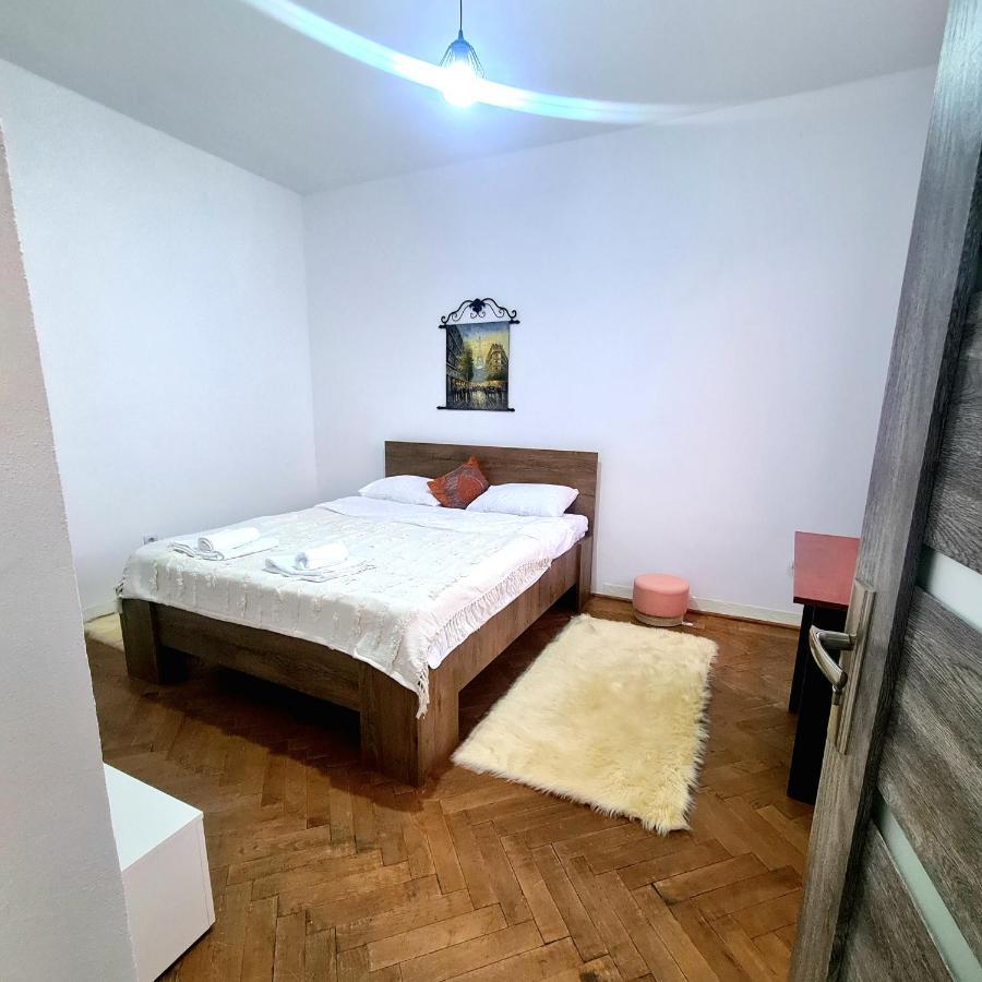 Mural Art Apartament Petroşani エクステリア 写真