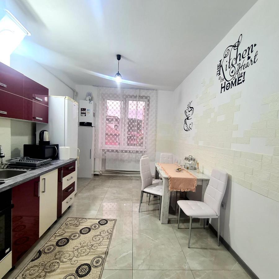 Mural Art Apartament Petroşani エクステリア 写真