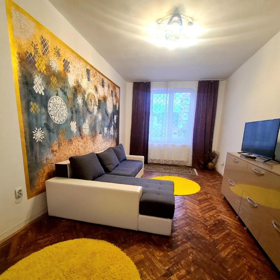 Mural Art Apartament Petroşani エクステリア 写真
