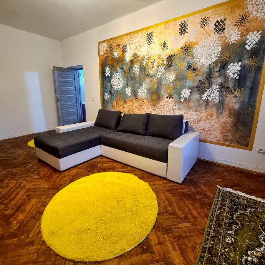 Mural Art Apartament Petroşani エクステリア 写真