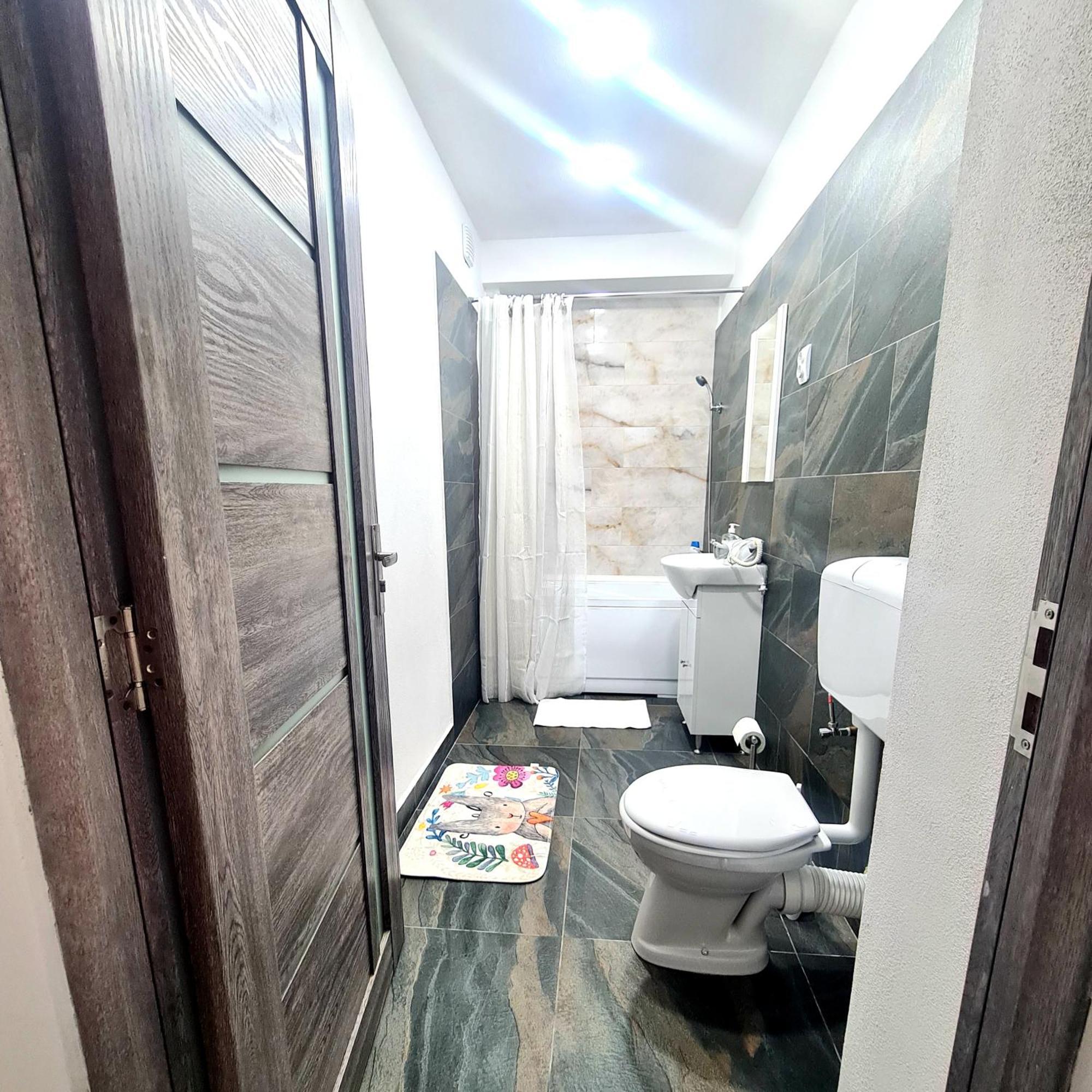 Mural Art Apartament Petroşani エクステリア 写真