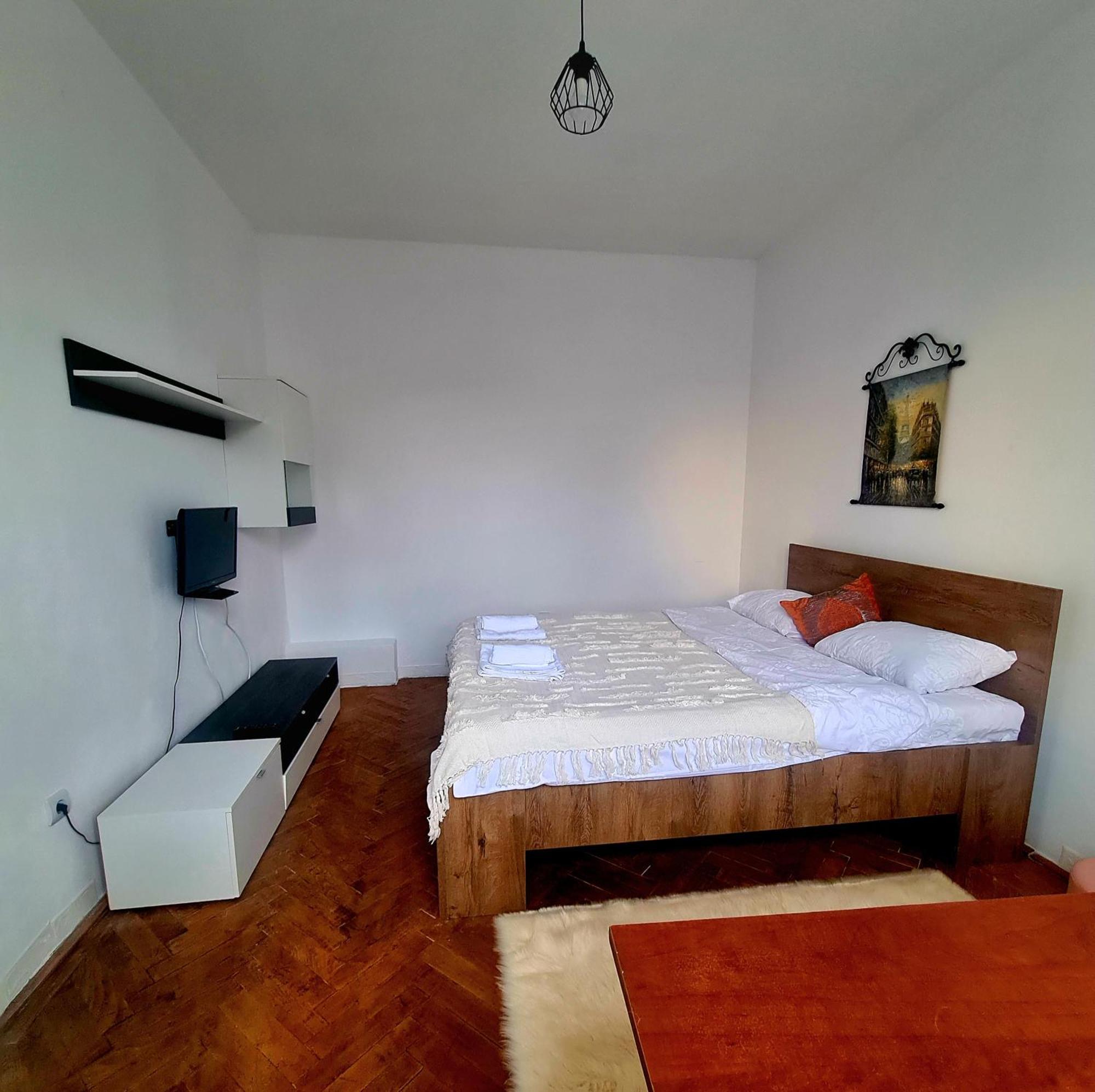 Mural Art Apartament Petroşani エクステリア 写真